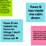 Case Study: Poverest Primary Clarion Project